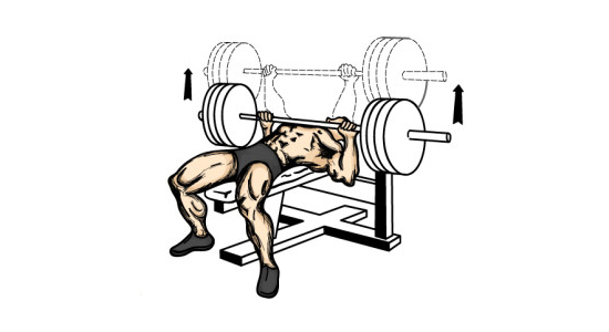 Benchpress na rovné lavici