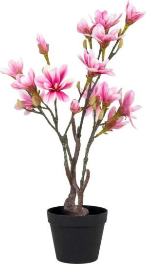Umělá květina Magnolia – House Nordic. Cvičení