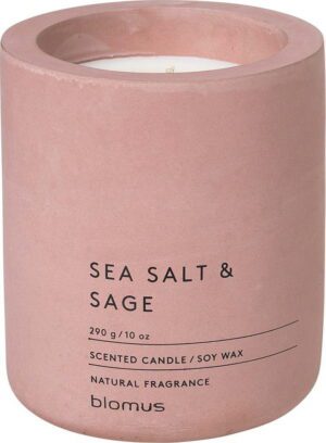 Vonná sojová svíčka doba hoření 55 h Fraga: Sea Salt and Sage – Blomus. Cvičení