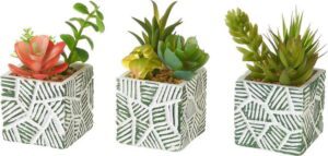 Umělé rostliny v sadě 3 ks (výška 12 cm) Cactus – Casa Selección. Cvičení