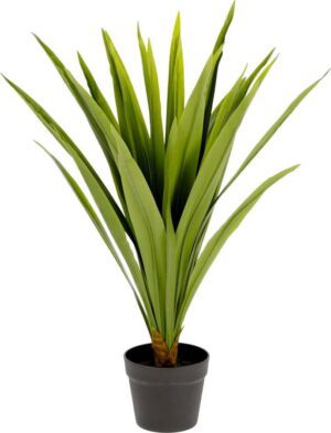 Umělá rostlina (výška 80 cm) Yucca – Kave Home. Cvičení