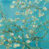 Reprodukce obrazu Vincenta van Gogha - Almond Blossom