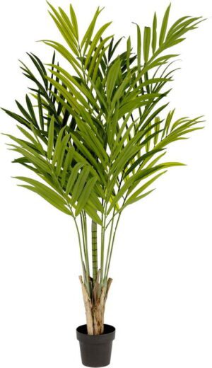 Umělý bambus (výška 170 cm) – Kave Home. Cvičení