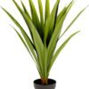 Umělá rostlina (výška 80 cm) Yucca – Kave Home. Cvičení