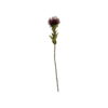 Umělá květina (výška 60 cm) Protea – PT LIVING. Cvičení