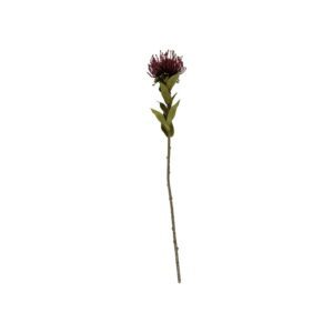 Umělá květina (výška 60 cm) Protea – PT LIVING. Cvičení