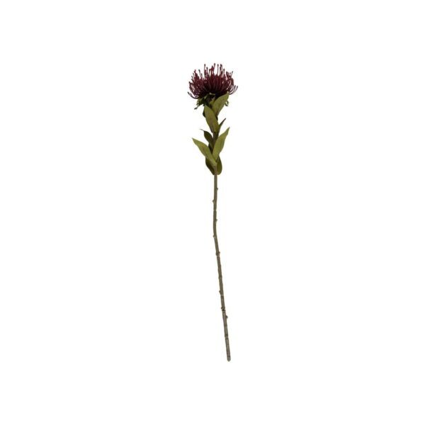 Umělá květina (výška 60 cm) Protea – PT LIVING. Cvičení
