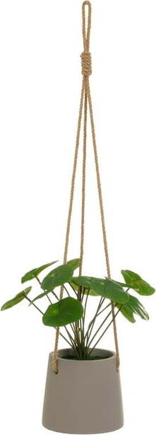 Umělá rostlina (výška 24 cm) Pilea – Casa Selección. Cvičení