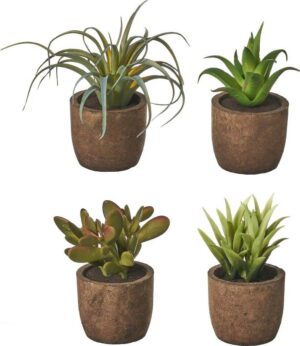 Umělé rostliny v sadě 4 ks (výška 10 cm) Cactus – Casa Selección. Cvičení