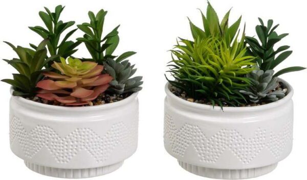 Umělé rostliny v sadě 2 ks (výška 19 cm) Cactus – Casa Selección. Cvičení