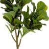 Umělý fíkus (výška 150 cm) Lyrata – Kave Home. Cvičení