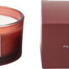 Vonná svíčka doba hoření 25 h Cozy Nectarine – ILLUME x Bloomingville. Cvičení