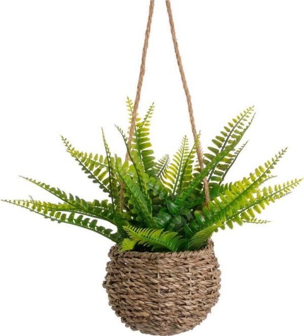 Umělá kapradina (výška 25 cm) – Casa Selección. Cvičení