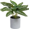 Umělá rostlina (výška 21 cm) Syngonium – Ixia. Cvičení