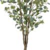 Umělý eukalyptus (výška 173 cm) Eucalyptus – Ixia. Cvičení