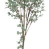 Umělý eukalyptus (výška 180 cm) Eucalyptus – Ixia. Cvičení