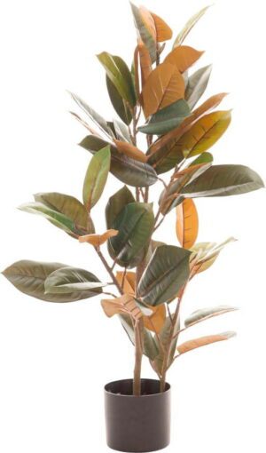 Umělý fíkus (výška 90 cm) Ficus – Ixia. Cvičení