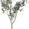 Umělý olivovník (výška 112 cm) Olive Tree – Ixia. Cvičení