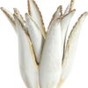 Keramický svícen Cactus – Light & Living. Cvičení