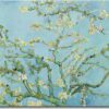 Nástěnná reprodukce na plátně Vincent Van Gogh Almond Blossom