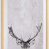 Obraz 30x40 cm Deer – Surdic. Cvičení