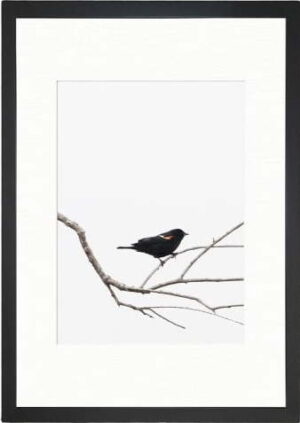 Obraz 24x29 cm Bird on the Branch – Vavien Artwork. Cvičení