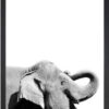 Obraz 24x29 cm Damarion Elephant – Vavien Artwork. Cvičení