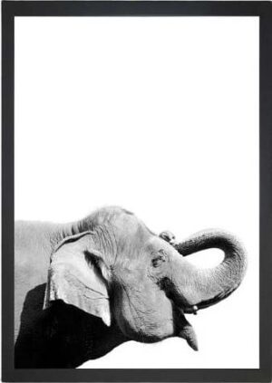 Obraz 24x29 cm Damarion Elephant – Vavien Artwork. Cvičení