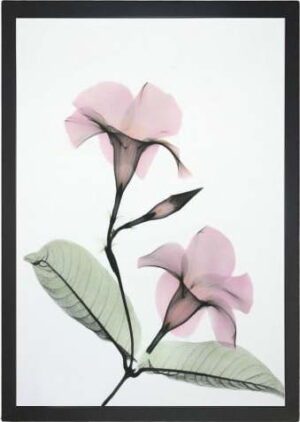 Obraz 24x29 cm Green Branch – Vavien Artwork. Cvičení