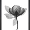 Obraz 24x29 cm Harmony Flower – Vavien Artwork. Cvičení