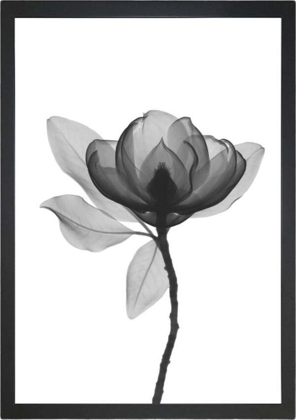 Obraz 24x29 cm Harmony Flower – Vavien Artwork. Cvičení