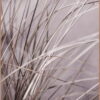 Obraz 50x70 cm Mellow Grasses 1 – Malerifabrikken. Cvičení