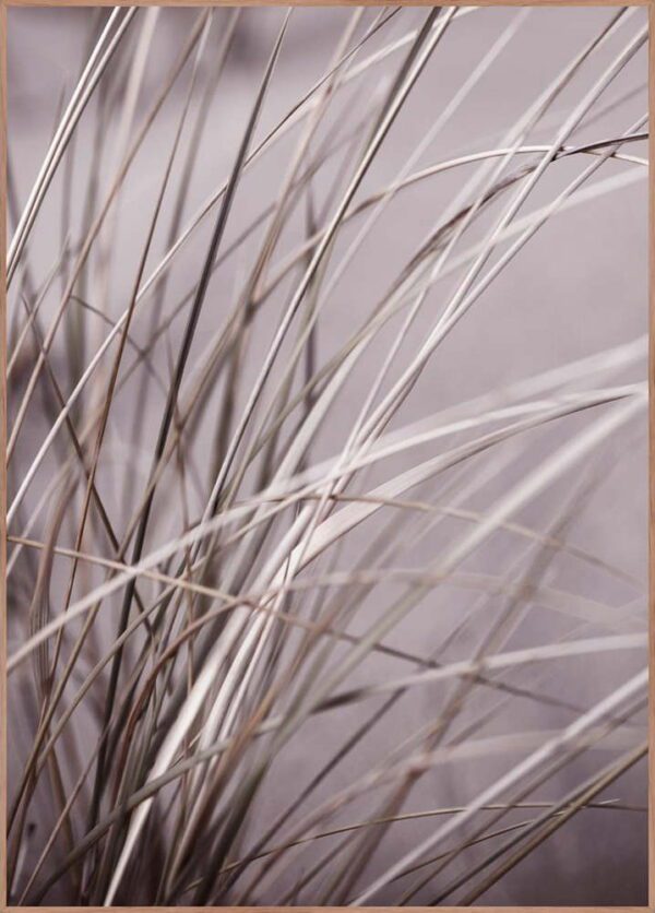 Obraz 50x70 cm Mellow Grasses 1 – Malerifabrikken. Cvičení
