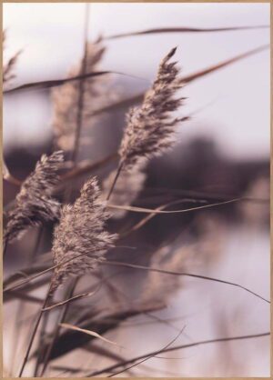 Obraz 50x70 cm Mellow Grasses 3 – Malerifabrikken. Cvičení