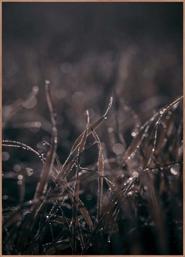 Obraz 50x70 cm Mellow Grasses 5 – Malerifabrikken. Cvičení