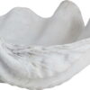 Dekorativní mísa z polyresinu 24x19 cm Shell – Mette Ditmer Denmark. Cvičení