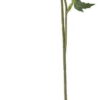 Umělá květina (výška 47 cm) Chrysantemum – Bloomingville. Cvičení