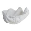 Dekorativní mísa z polyresinu 24x19 cm Shell – Mette Ditmer Denmark. Cvičení