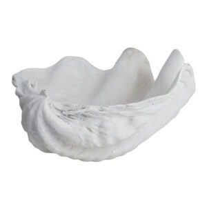 Dekorativní mísa z polyresinu 24x19 cm Shell – Mette Ditmer Denmark. Cvičení