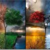 Obraz na plátně Seasons