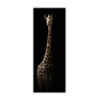 Obraz Styler Glas Animals Gira