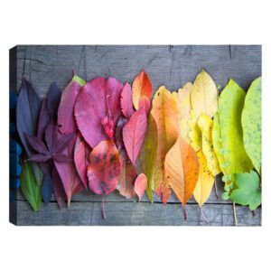 Obraz Tablo Center Autumn Palette