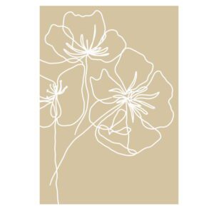 Plakát 29x41 cm White Poppy – Veronika Boulová. Cvičení