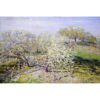 Reprodukce obrazu Claude Monet - Spring