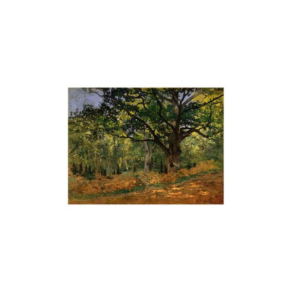 Reprodukce obrazu Claude Monet - The Bodmer Oak