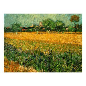 Reprodukce obrazu Vincenta van Gogha - View of arles with irises in the foreground