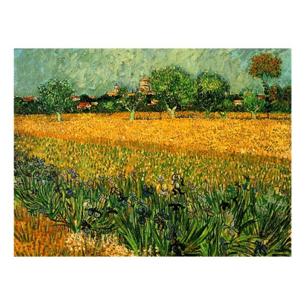 Reprodukce obrazu Vincenta van Gogha - View of arles with irises in the foreground