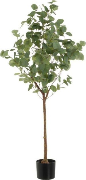 Umělá květina Eucalyptus – Casa Selección. Cvičení