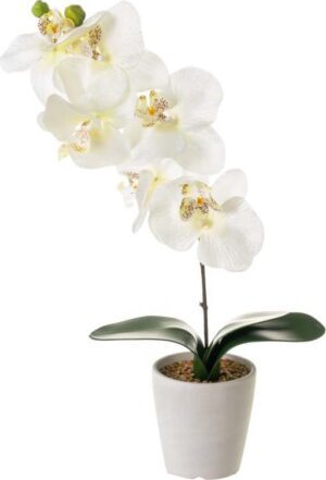 Umělá rostlina (výška 45 cm) Orchid – Casa Selección. Cvičení