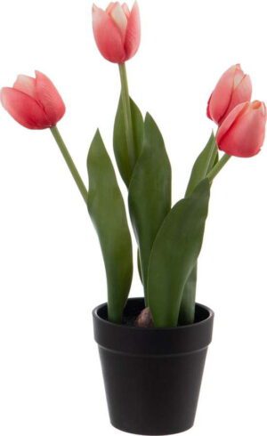 Umělá květina (výška 31 cm) Tulips – Ixia. Cvičení